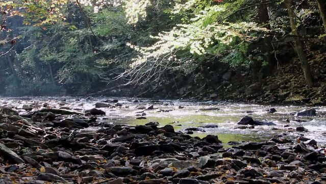 Mountain Stream Autumn Great Trough Creek Huntingdon County Raystown Pennsylvania USA
