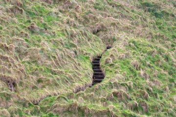 Fototapeta premium Steps in the steep cliff walk to Kinbane Castle ruins, Ballycastle, UK