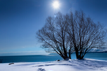 Winter landscape with tree on the road.
Beautiful winter photo with snow and lake.