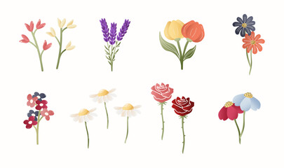 Botanical set of flowers, different flowers isolated on white background. Flat design