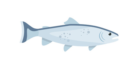 Trout, marine animal, freshwater or sea fish for fishing industry, fresh food ingredient