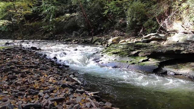 Mountain Stream Lake Raystown Region Trough Creek Huntingdon County Pennsylvania USA