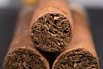 primo piano di sigari cubani, macro del tabacco di sigari 