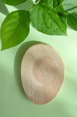 Wooden podium made of natural wood with green leaves on a light background with shadows. Presentation of eco-products, layout
