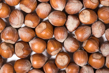 trama creat da tante nocciole, sfondo di nocciole