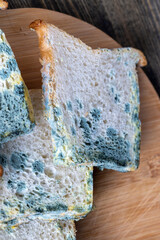 spoiled mold-covered dangerous pieces of bread