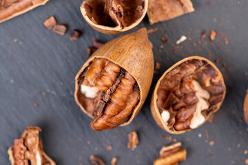 fresh crop of pecans on the surface