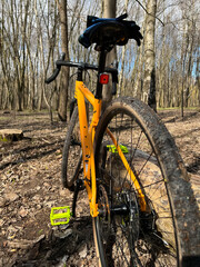 Fototapeta na wymiar Gravel bicycle in the city park on the spring season
