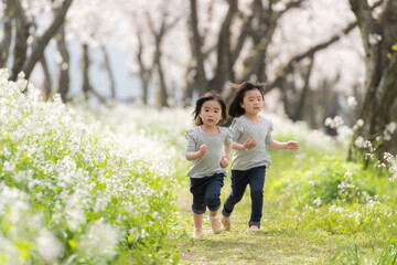 桜並木を走る姉妹