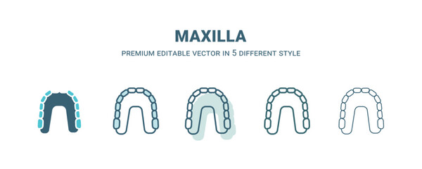 maxilla icon in 5 different style. Outline, filled, two color, thin maxilla icon. Editable vector can be used web and mobile - obrazy, fototapety, plakaty
