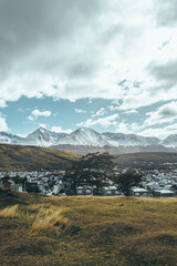 Fototapeta premium landscape with sky