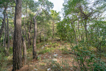 The scenic view of remainings from  Onobara, which  was a town of ancient Lycia, was the destination of a road from Trabenna,  located near Gedeller, Antalya, Turkey.