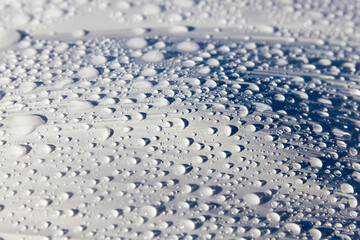 plastic surface of grass packaging covered with water droplets