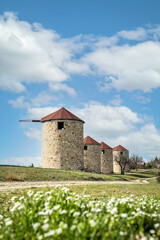 Fototapeta premium Abandoned Ancient Greek windmills near to Melia village Evros Thrace Greece flowers foreground, hello spring