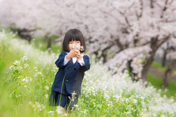 幼稚園の制服を着た年長の女の子と満開の桜の花