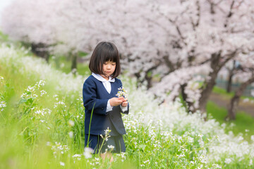 幼稚園の制服を着た年長の女の子と満開の桜の花