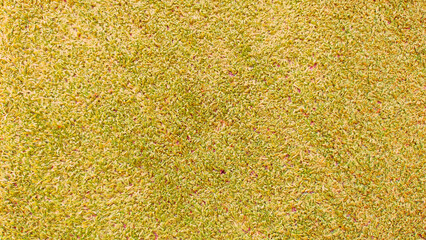 Rough yellow Surface Artificial Grass Flooring For Graphic Design