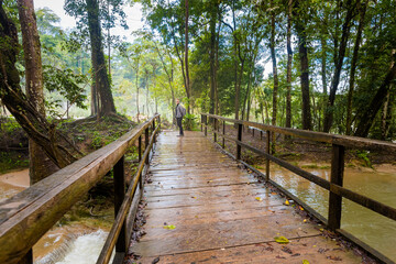Obraz premium Agua Azul park in Palenque Mexico
