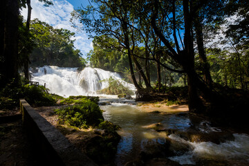 Fototapeta na wymiar Agua Azul park in Palenque Mexico
