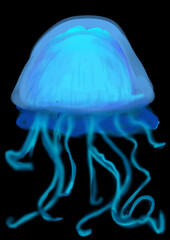 jellyfish