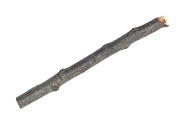 log, log wood, saw cut stick isolate	