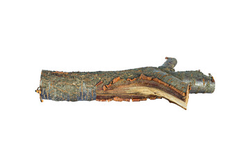 log, log wood, saw cut stick isolate	