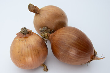 Holland Onions are a staple in most cuisines around the world that are best suited for raw and cooked dishes