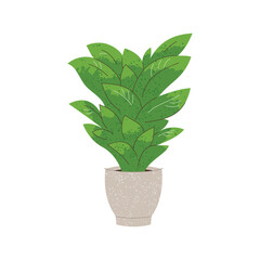 Fototapeta na wymiar Illustration of Kroton plant in pot on white