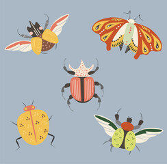 Set of isolated elements, insects, beetles, butterfly.