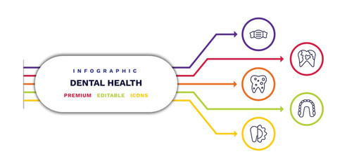 set of dental health thin line icons. dental health outline icons with infographic template. linear icons such as dentist mask, inner tooth, apicoectomy, dental plaque, maxilla vector. © Abstract