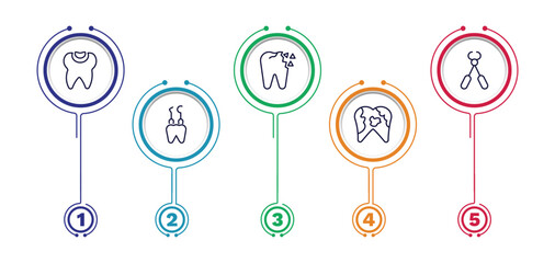 set of dental health thin line icons. dental health outline icons with infographic template. linear icons such as dental filling, holed tooth, tooth pliers, hook, plaque vector.