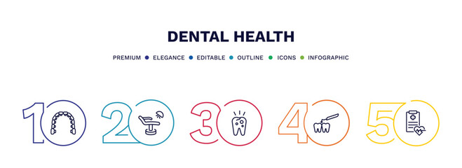 set of dental health thin line icons. dental health outline icons with infographic template. linear icons such as lingual braces, dentist chair, decay, interproximal, health report vector.