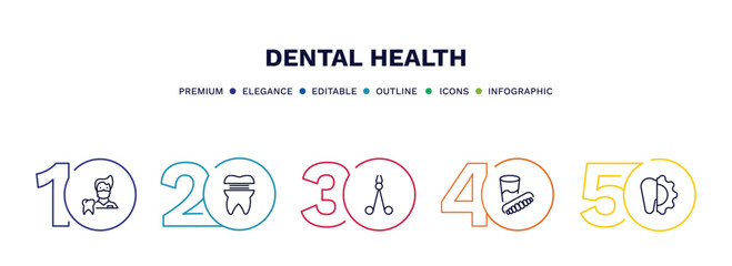 set of dental health thin line icons. dental health outline icons with infographic template. linear icons such as dentist, molar crown, dentist scissors, denture, apicoectomy vector.