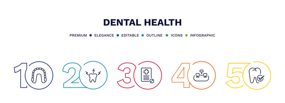 set of dental health thin line icons. dental health outline icons with infographic template. linear icons such as maxilla, toothache, medical prescription, overdenture, dental checkup vector.
