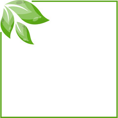 leaf corner square vector