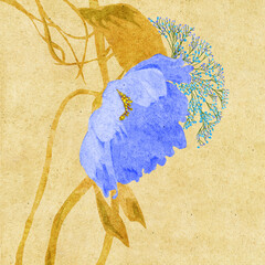 Ilustracja motyw kwiatowy kompozycja roślinna na jasnym tle. - obrazy, fototapety, plakaty