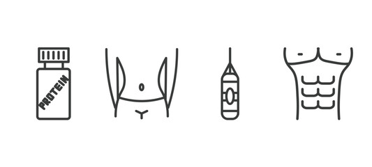 Fototapeta premium set of health and medical thin line icons. health and medical outline icons included proteins, body, punching bag, abs vector.