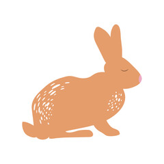Bunny pet, spring concept
Hare and rabbit colorful animal