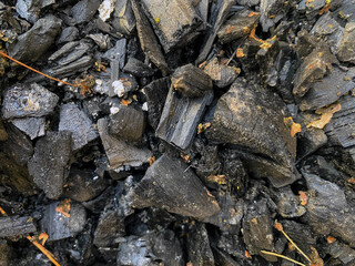 Coals in a forest fire.