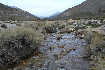 Snow melt in creek flowing through desert.