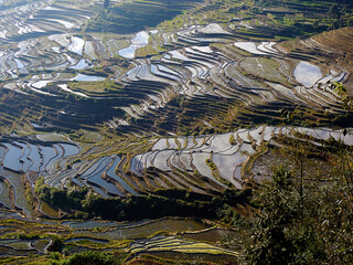 Paisaje terrazas de arroz de Yuanyuang, Yunnan, China