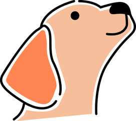 Cachorro olhando pra cima