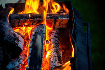 Burning fire. The bonfire burns. Texture of burning fire. Bonfire for cooking. Burning dry branches.  Texture of burning branches.