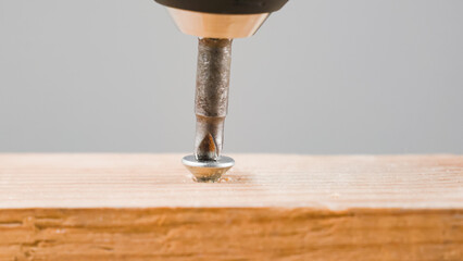 Screwdriver tightening screw in wood close up