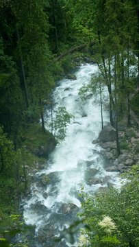 Mountain forest river near Golling Waterfall. Salzburg in Austria