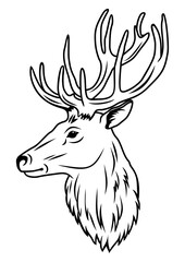 Deer head vector illustration. Fores animal. Antlers