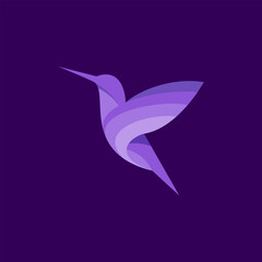 hummingbird vector logo premium template