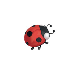 3D vector illustration of a ladybug isolated on white background