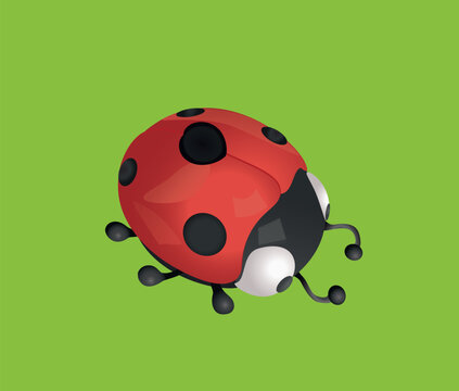 3D vector illustration of a ladybug on a green background
