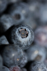 Fresh blueberries background top view concept of healthy and dieting eating big size high quality botanical prints vaccinium corymbosum family ericaceae